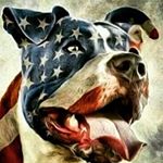 Profile Picture of Mike Marks (@merican_made.81) on Instagram