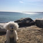 Profile Picture of Joann Reidy (@jreidyrn) on Instagram