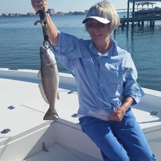Profile Picture of Judith Wyatt (@judith.wyatt.12576) on Facebook