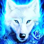 Profile Picture of Austinrex (@austinrex26) on Instagram