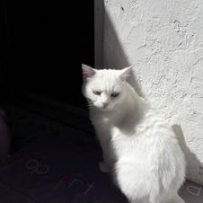 Profile Picture of Marc De Hautes Rives (@Marcdhr) on Twitter