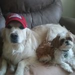 Profile Picture of Gary Spicuzza (@garyspicuzza) on Instagram