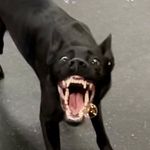 Profile Picture of Jonnah James (@jonnah.james) on Instagram