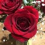 Profile Picture of Cailyn Thompson (@Cailyn-Thompson) on Facebook