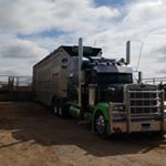 Profile Picture of Felty Borntreger (@the_amishoutlaw) on Instagram