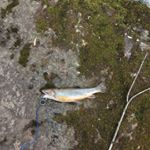 Profile Picture of James austin spiva (@jamesaustinspiva) on Instagram