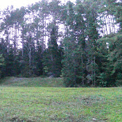 Profile Picture of Michael Gallagher (@michaelgallagher8751) on Youtube