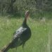 Profile Picture of Randy Beebe (@randy.beebe.5) on Facebook