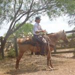 Profile Picture of Seth Hubert (@sethhubert) on Instagram