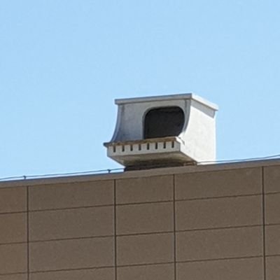 Sally-Ann - Twitter Profile Picture of Sally-Ann (@SAMascarenhas72) on Twitter