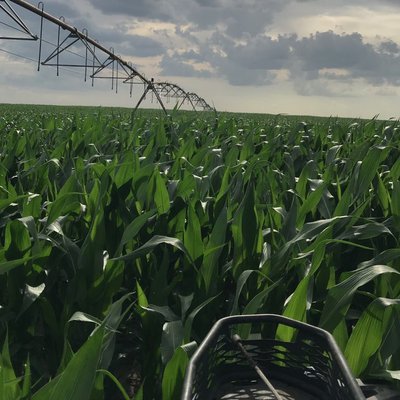 Profile Picture of Michael Houchin (@Michael74134832) on Twitter