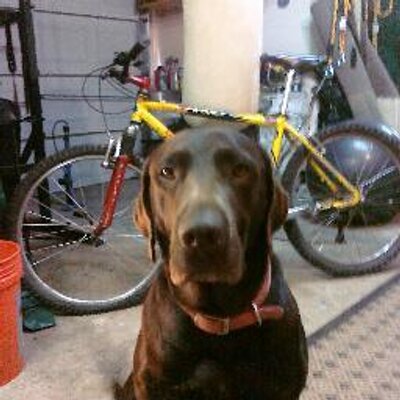 Profile Picture of Lance Clarke (@lancepclarke) on Twitter