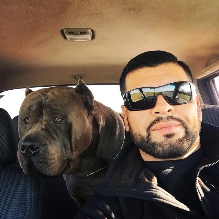 Frank Cortez - Tiktok Profile Picture of Frank Cortez (@@franko533) on Tiktok