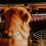 Profile Picture of 庄宇翔 (@andy_thony) on Instagram