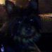 Profile Picture of Izzy Profanchik (@izzy.profanchik) on Facebook