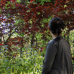 Profile Picture of Julia Chang (@vesperion) on Flickr