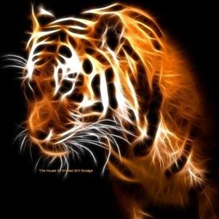 Profile Picture of Aric Ratts (@aratts) on Facebook