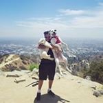 Profile Picture of Ralph Adolphus Monroe (@ralphamonroe) on Instagram