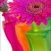 Profile Picture of Carla Sells (@carla_sells) on Pinterest
