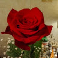 Profile Picture of George Blasius Major (@george-blasius-major) on Quora