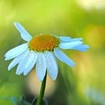 Profile Picture of Alaina (@alaina_wilkins_) on Instagram