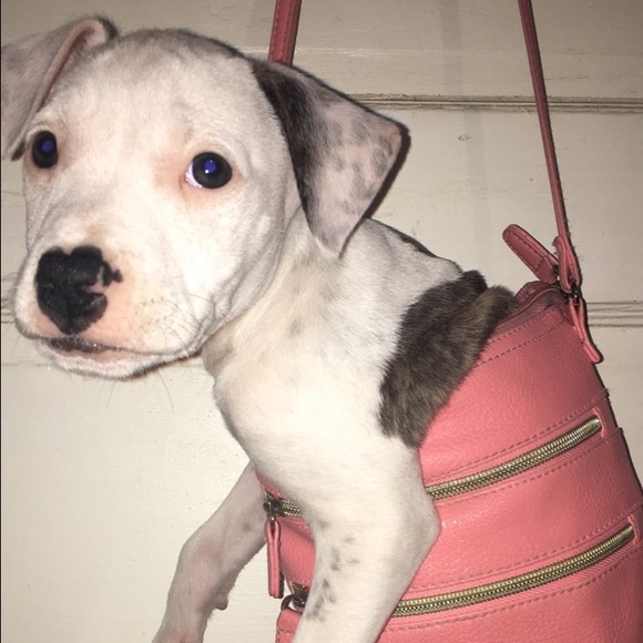 Meg Banfill - Poshmark Profile Picture of Meg Banfill (@mbanfill) on Poshmark