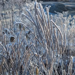 Profile Picture of Robin Gaston (@robingaston1) on Instagram