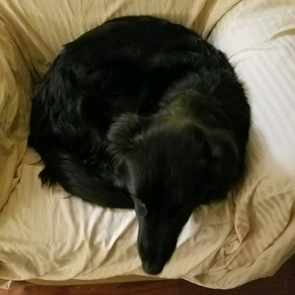 Angela Aragona - Poshmark Profile Picture of Angela Aragona (@aaragona12) on Poshmark