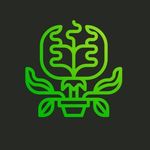 Profile Picture of Matze (@carniplantsfdb) on Instagram