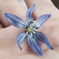 Profile Picture of Matty Cakes (@matty-cakes-1) on Quora