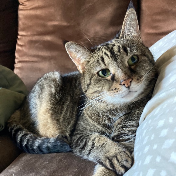 Profile Picture of Loren Gifford (@lorenmarie26) on Poshmark