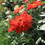 Profile Picture of Haddad (@haddadbrettunhzy) on Instagram