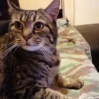 Profile Picture of Jimmy Mogin (@jimmy.mogin) on Facebook