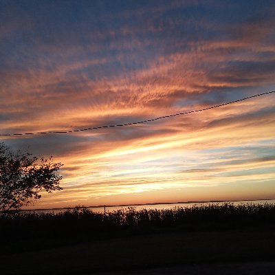 Profile Picture of Mario Mujica (@MarioMujica10) on Twitter