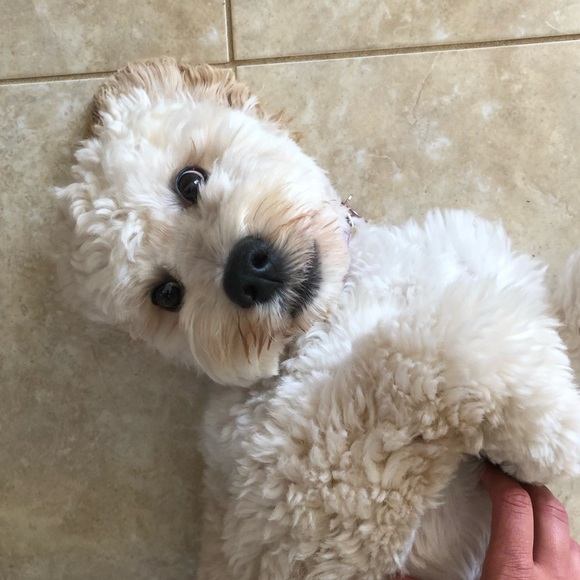 Profile Picture of Hayden Lopez (@haydenliz2521) on Poshmark