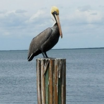 Profile Picture of Mike Crumpton (@mcrumpt) on Twitter