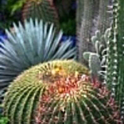 Laveen/Tolleson - Twitter Profile Picture of Laveen/Tolleson (@BreakingLTNews) on Twitter