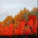 Profile Picture of Adam Green (@Adam-Green) on Facebook