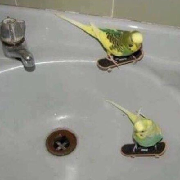 Profile Picture of Matthew Crane (@matthew19930) on Poshmark