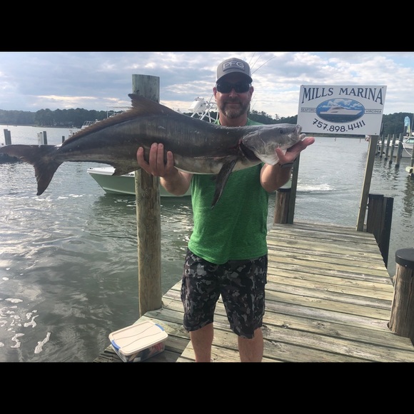 Profile Picture of Richard Hockenberry (@hock70) on Poshmark