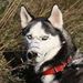 Profile Picture of Curt Huffman (@huffmanhande) on Pinterest