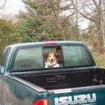 Profile Picture of James John Nicholas Kurchak (@jamesjohnnicholas) on Instagram