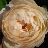 Profile Picture of Jennifer Wakefield (@jennifer-wakefield-3) on Quora