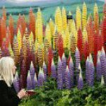 Profile Picture of Claudia Olazabal (@olazabal_c) on Instagram