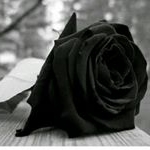 Profile Picture of Sonia Vasconcelos (@soniavasconcelos._) on Instagram