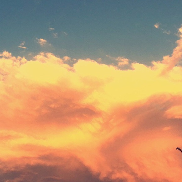 Profile Picture of Jared Tyson (@jaredtyson) on Poshmark