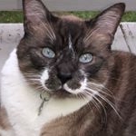 Profile Picture of Bobby Winston (@thebobbywinston) on Instagram