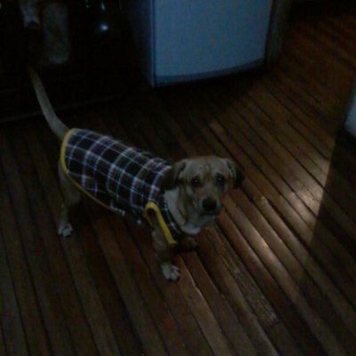 Profile Picture of Marcelo Alexi Ortiz Calderon (@Marceloalexior1) on Twitter