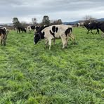 Profile Picture of Brodie Rixon (@brodie.rixon.14) on Facebook