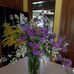 Profile Picture of Kim Schaefer (@kim.schaefer.58118) on Facebook